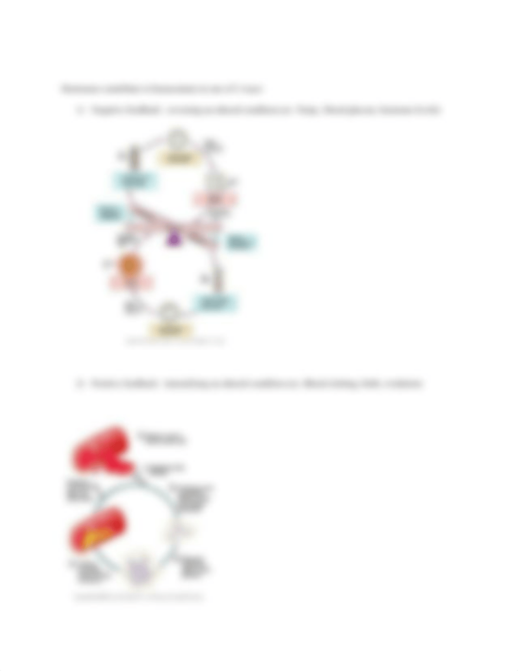 BIO 111, endocrine system handout.doc_dgw5xphl78f_page3