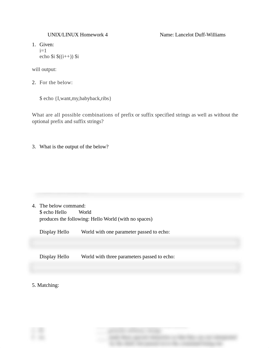 UNIX HW 4 sheet - Lancelot Duff-Williams.docx_dgw84msmaz8_page1