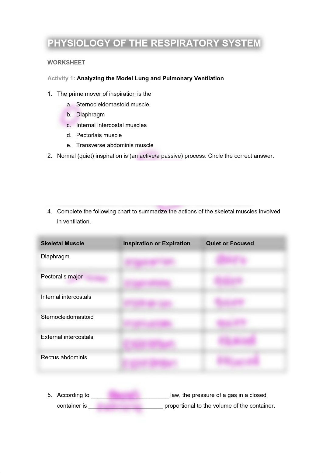 RESPIRATORY SYSTEM Physiology Worksheets.pdf_dgwdweeemrb_page1