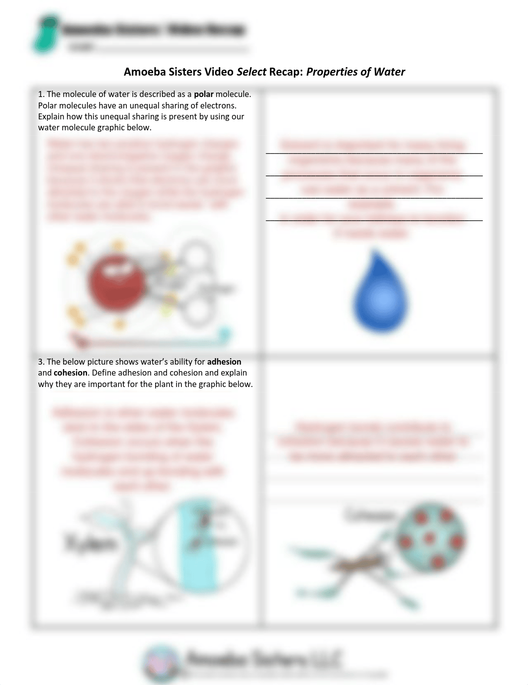 SELECT Properties of Water Recap by Amoeba Sisters.pdf_dgwed03lmze_page1