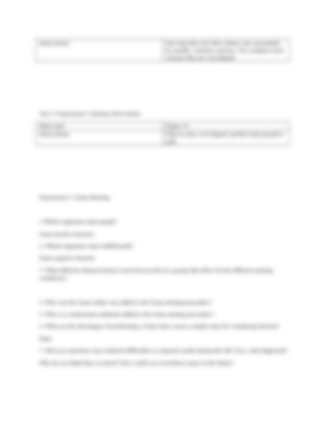 lab 5.docx_dgwfmcdjrpl_page2