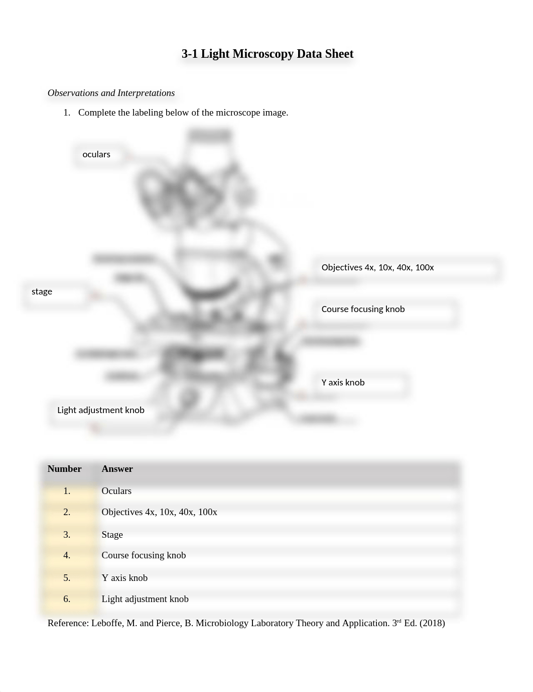 Light Microscopy and Colony Morphology Data Sheet (1).docx_dgwgmasoo25_page1