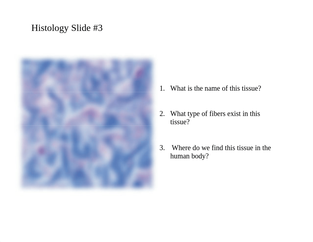 BIOL 2401 - Exam 1 Histology Practice - HGolden.pdf_dgwhjygyodw_page4