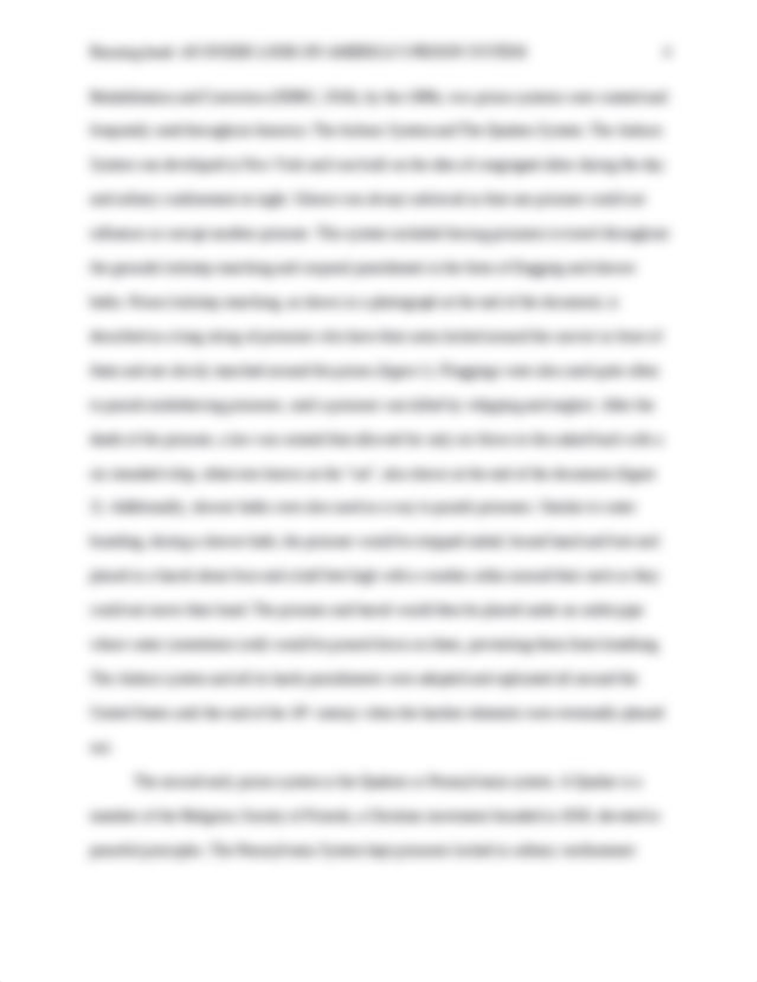 Prison System Research Final.docx_dgwjx9fmqjh_page4