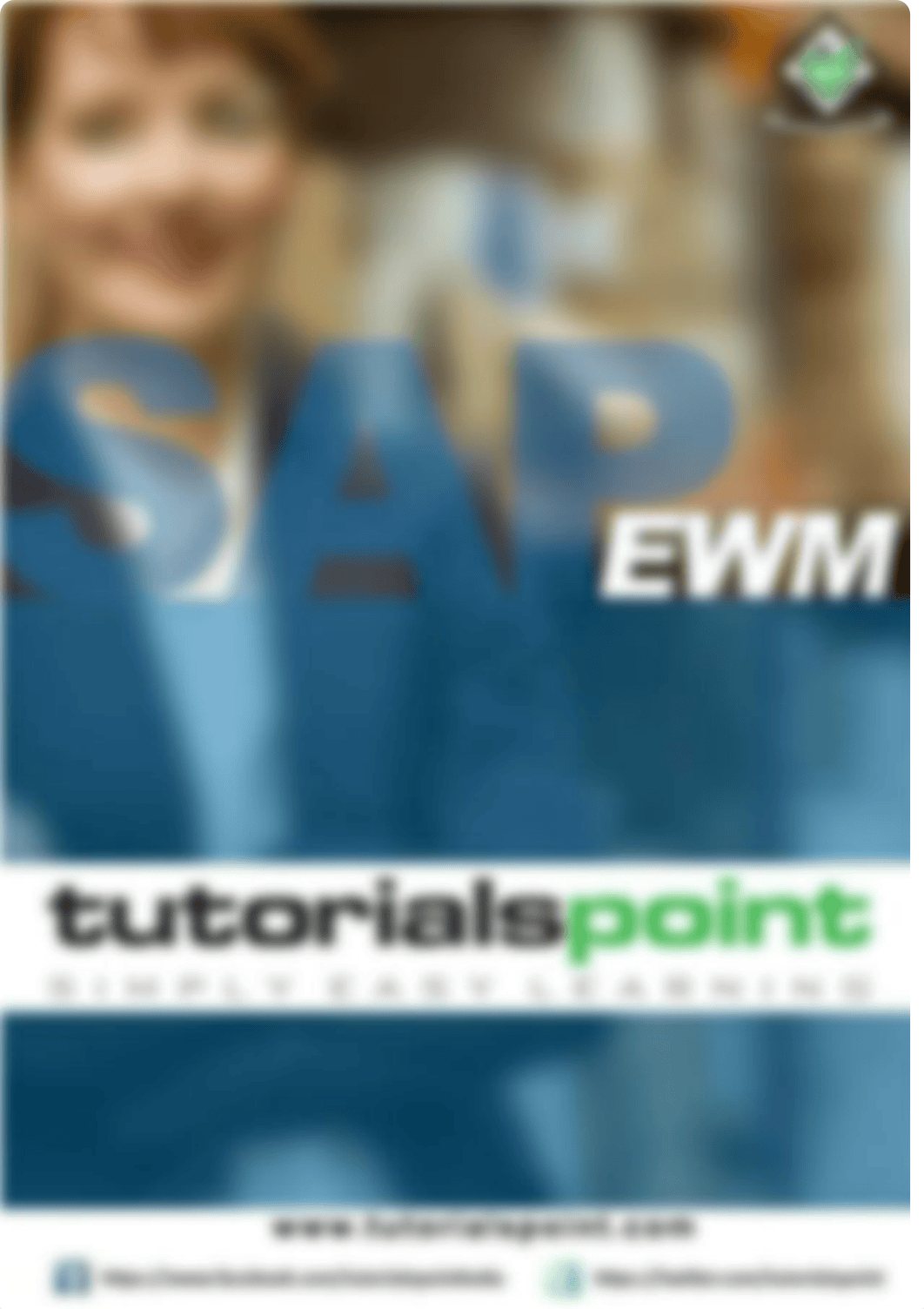 Sap-Ewm-Tutorial.pdf_dgwox959tdm_page1