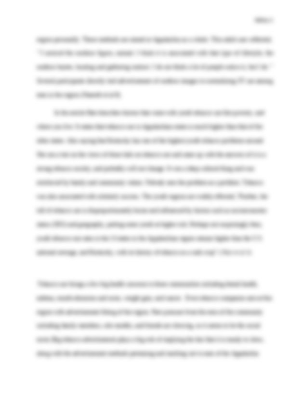 Agumentative essay final.docx_dgwpt5116fu_page3