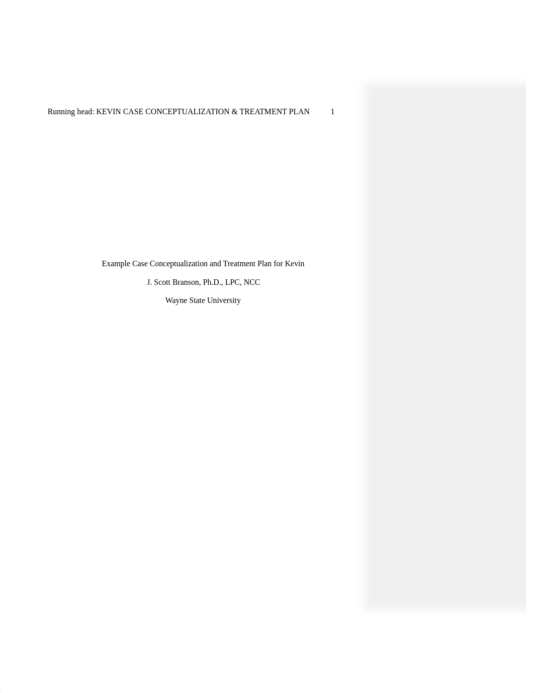 sample_substance_use_conceptualization_and_treatment_plan.pdf_dgx0aybj1sr_page1