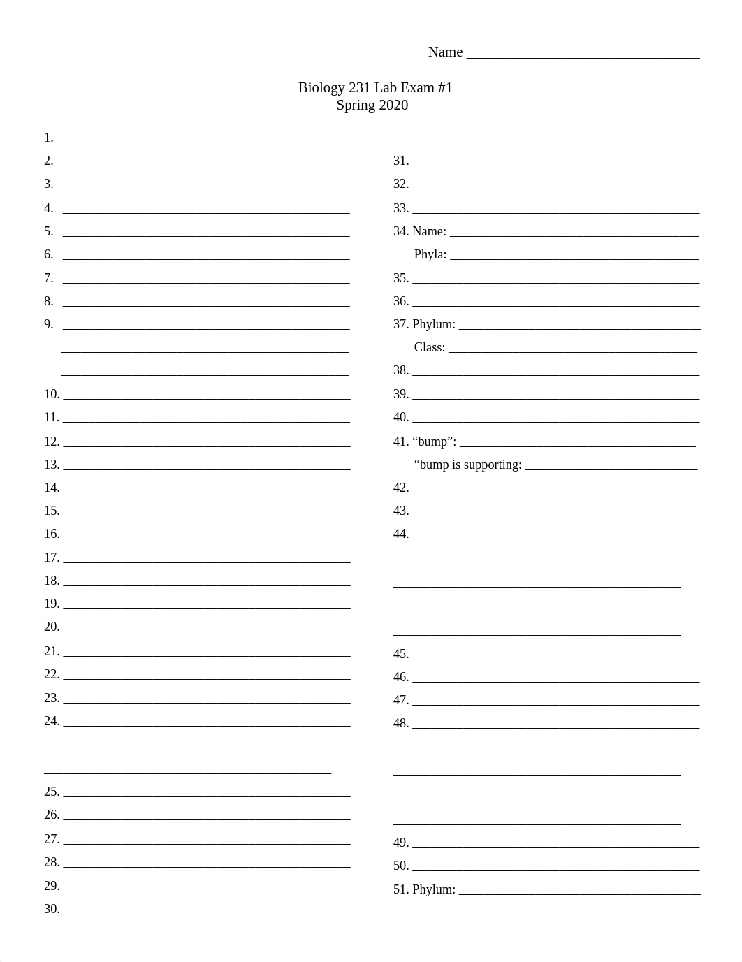 Lab Exam 1 S20.docx_dgx803bb3dw_page1