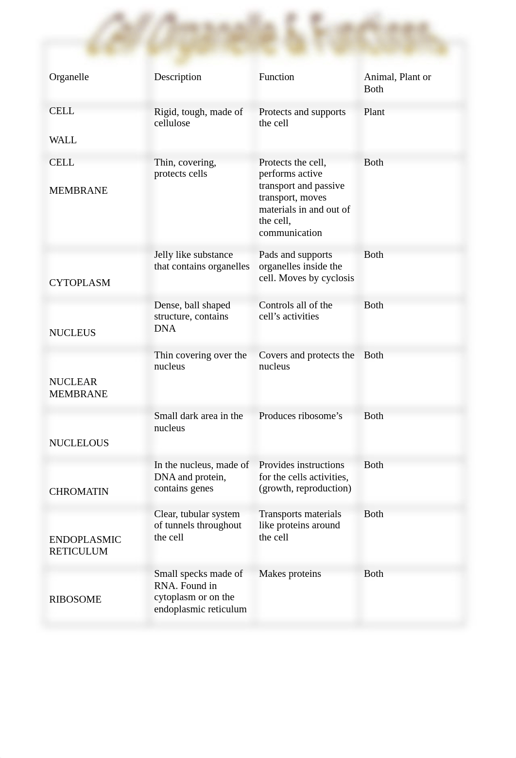 Cell Organelles Worksheet_2021.doc_dgxcgg0ev7s_page1