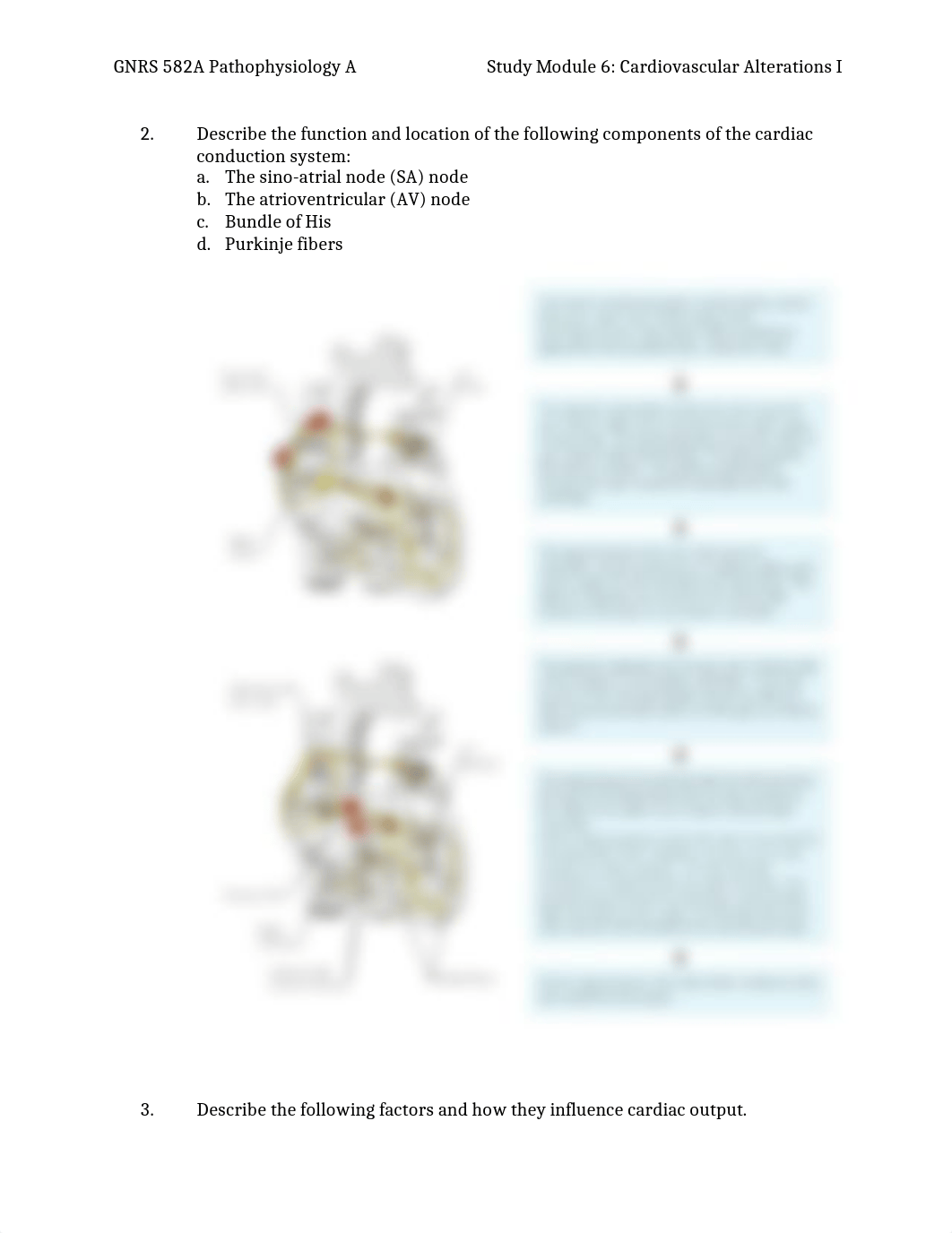 Study Module 6 Cardiovascular Alterations - Part 1.docx_dgxi4k027ex_page2