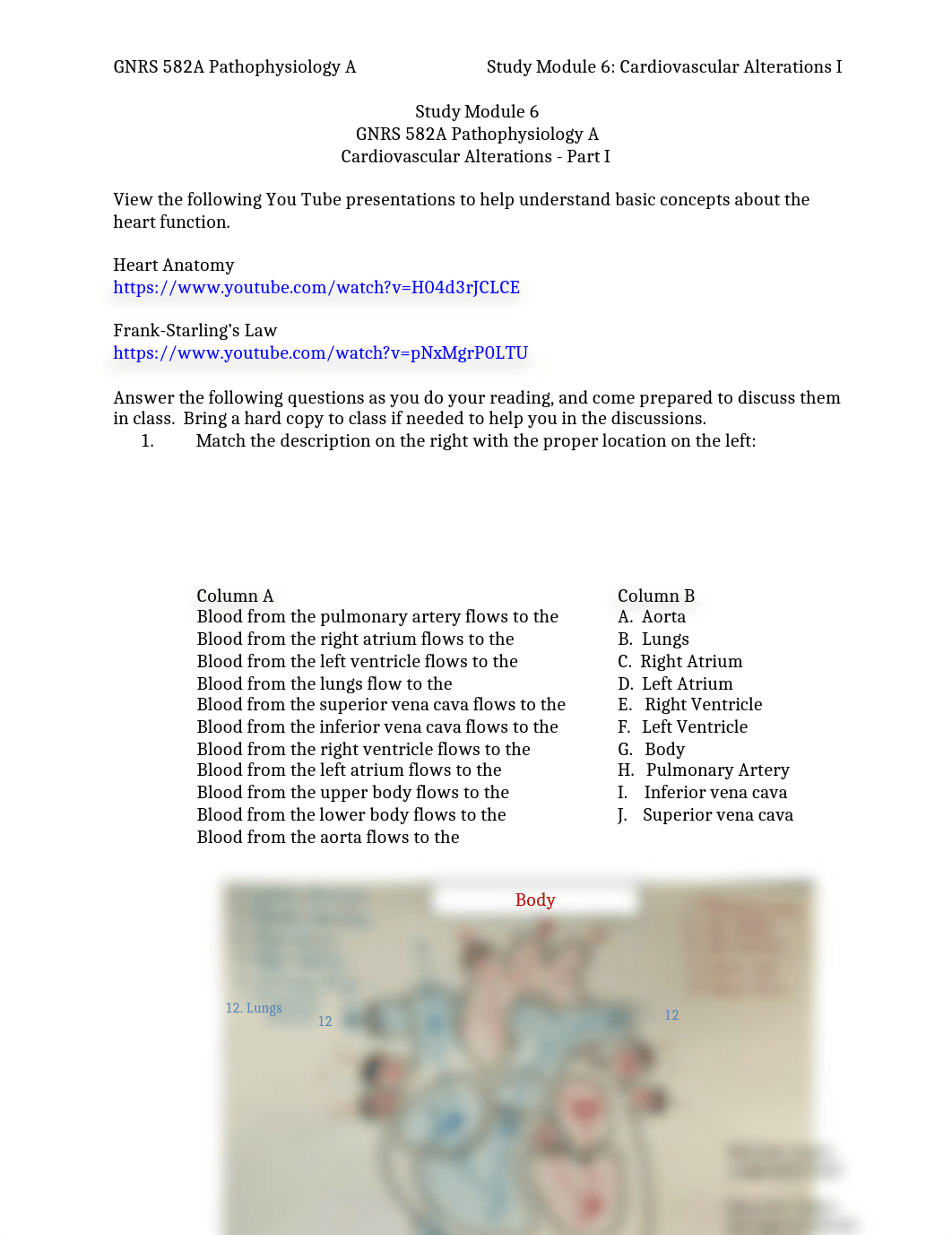 Study Module 6 Cardiovascular Alterations - Part 1.docx_dgxi4k027ex_page1