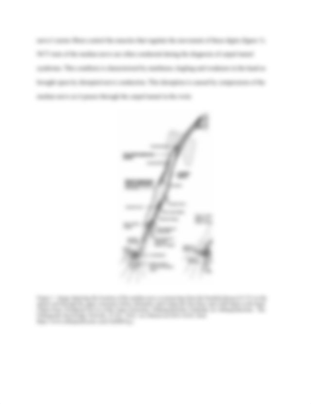 Median Nerve Conduction Velocity.docx_dgxumxc0rac_page4