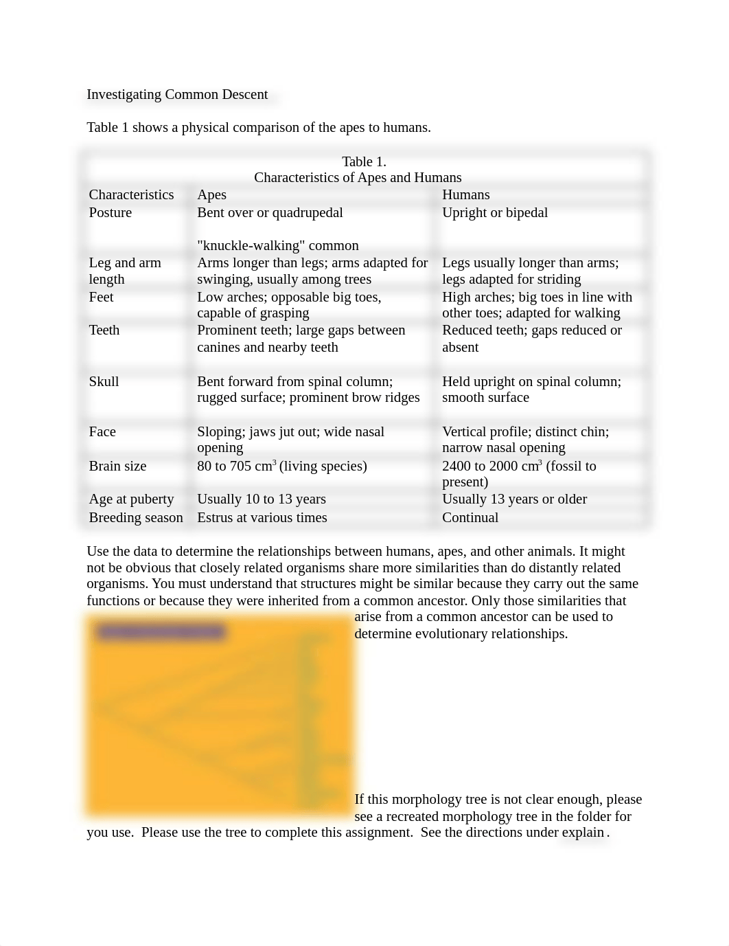 investigate common descent (1).docx_dgxvlfx45ns_page1