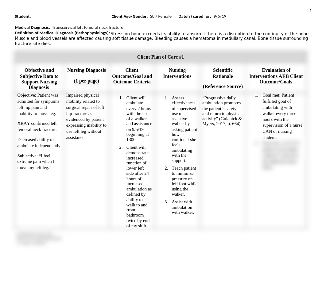 Client Plan of Care #2.docx_dgxzqvgpb13_page1