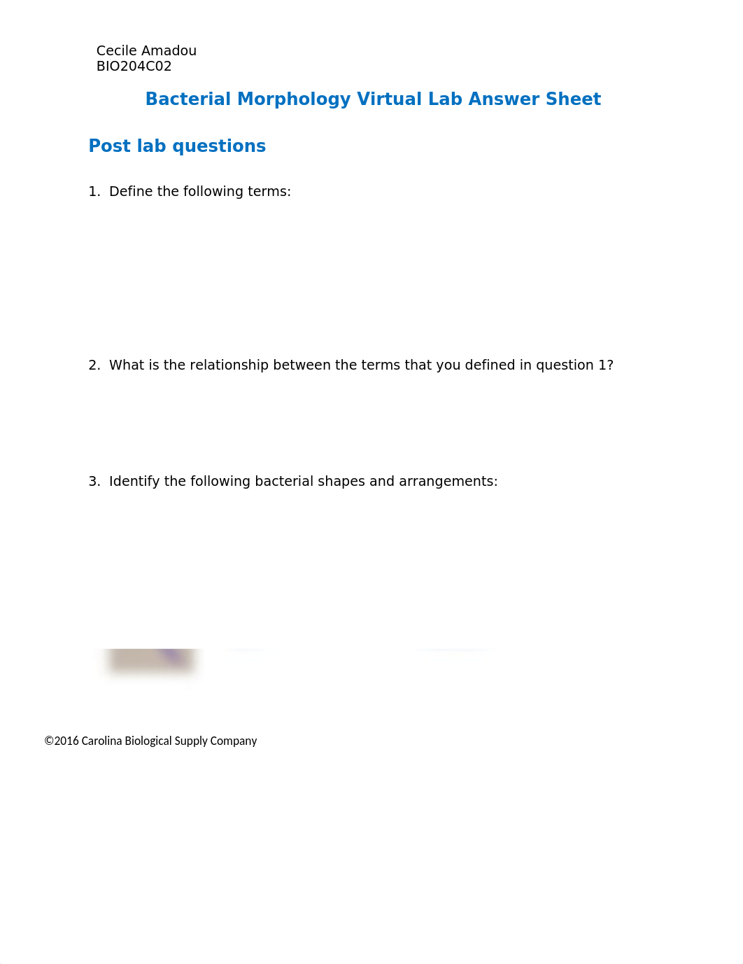 Bacterial Morphology Virtual Lab Questions.docx_dgy1ljqttn2_page1