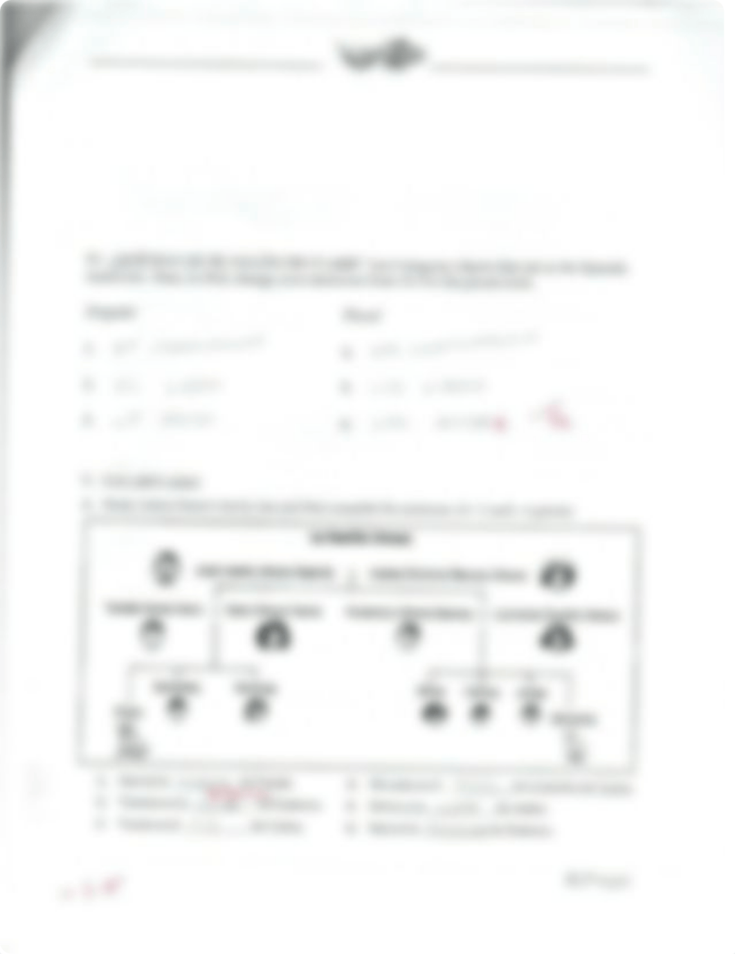 SPA 103 Exam 4 with Answers_dgya085tx6m_page3