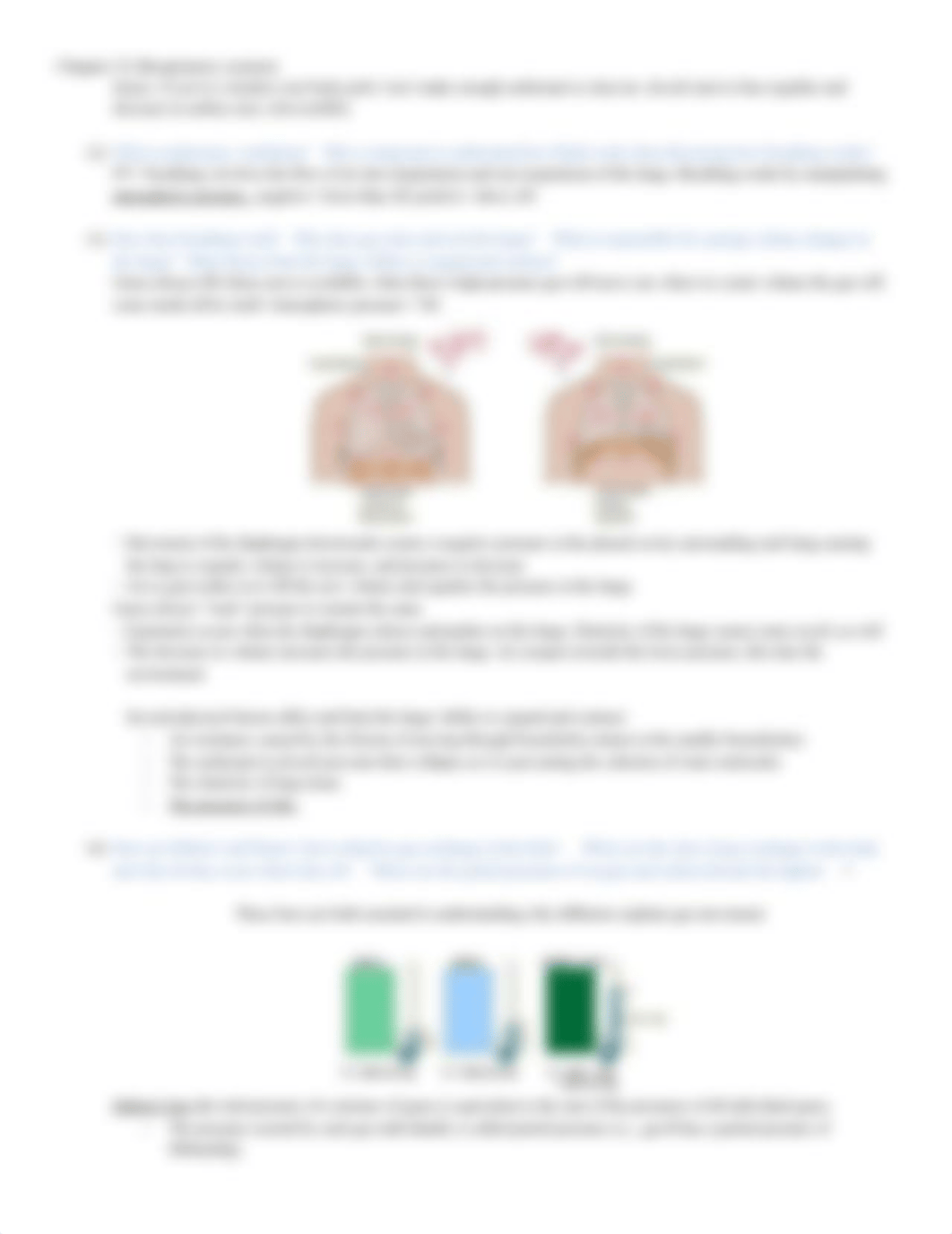 Chapter 22 Study Questions- Respiratory system.docx_dgyb8if8qj4_page3