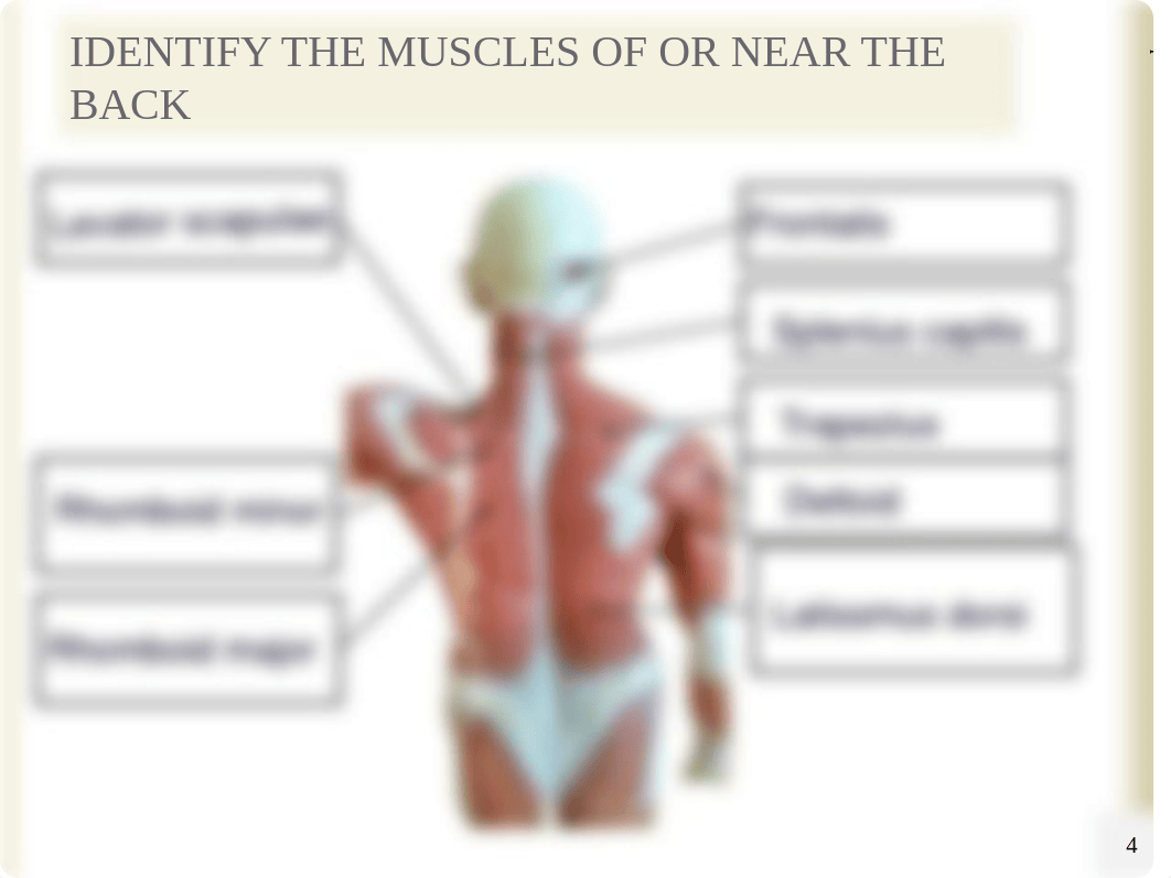 Chapter 11 Lab Homewok.pdf_dgyg8bt8fzr_page4