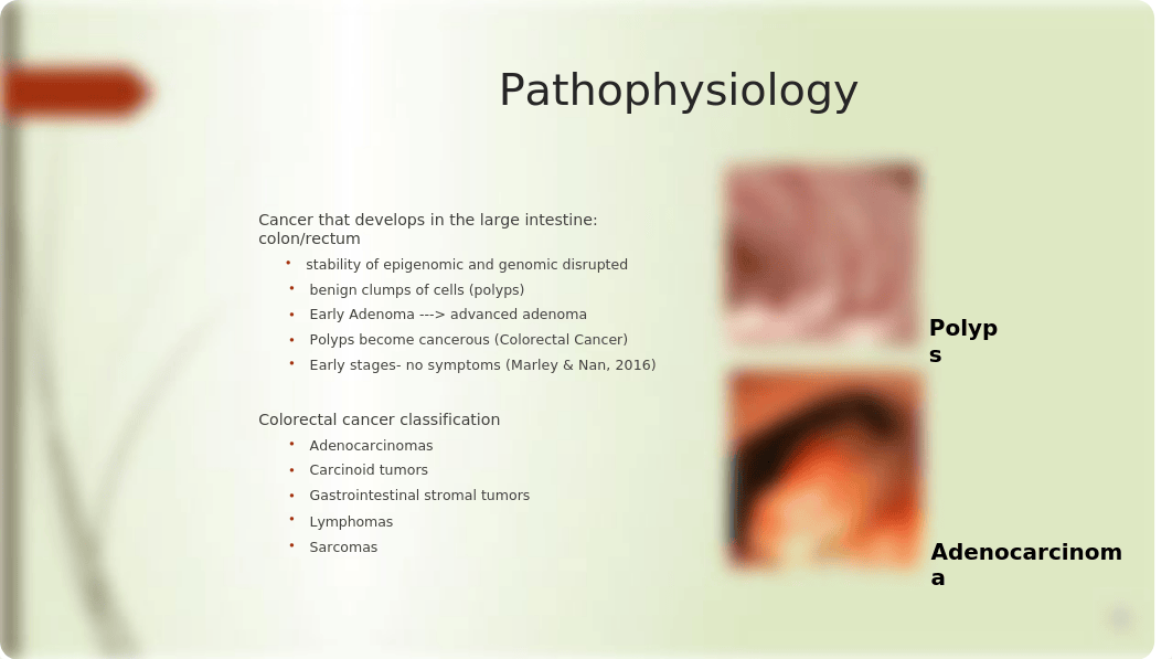 MSN570 Wk2 Colon Cancer Group Project Final.pptx_dgyhw63d8x8_page3