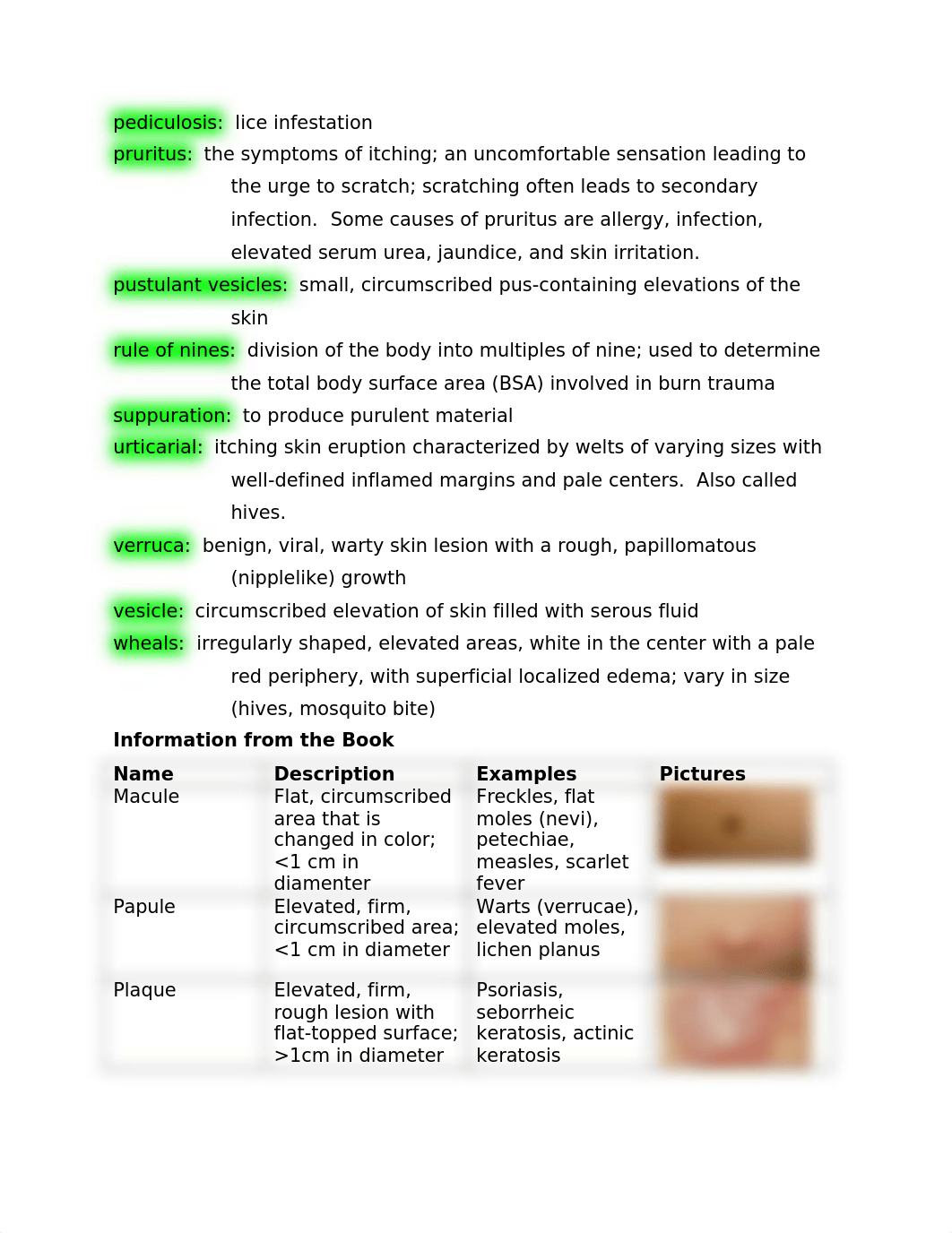 Anatomy Chapter 3 Study Guide.docx_dgys1okm5lq_page2