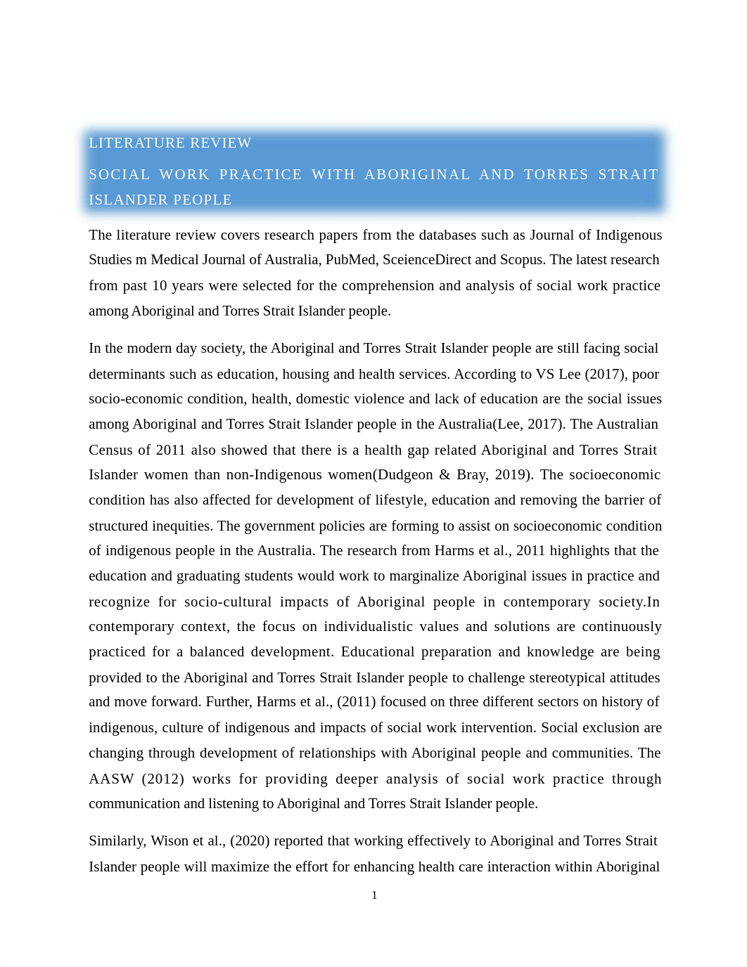 Literature review Aboriginal and Torres Strait Islander People(918) (1).docx_dgytdil7xeh_page2