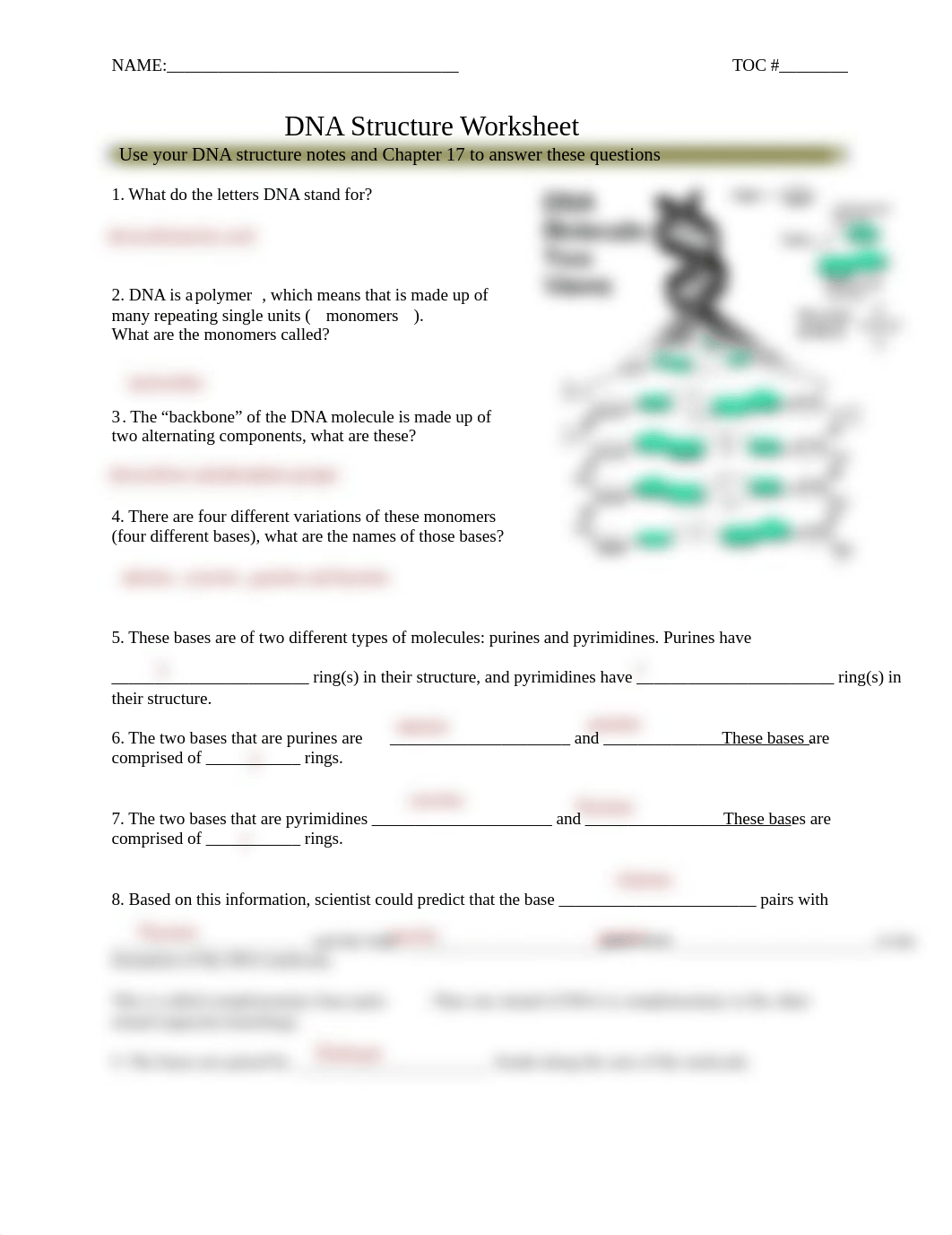 Kami Export -  DNA Structure.pdf_dgyvvffuvhs_page1