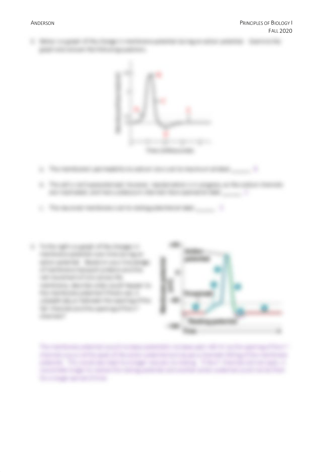 FINAL EXAM Practice Problems_KEY.pdf_dgz40gg1l7i_page3