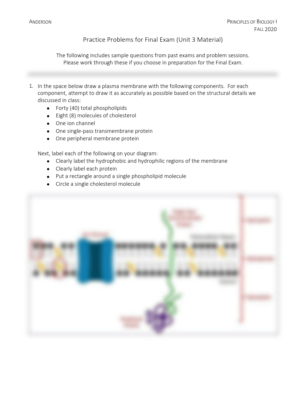 FINAL EXAM Practice Problems_KEY.pdf_dgz40gg1l7i_page1