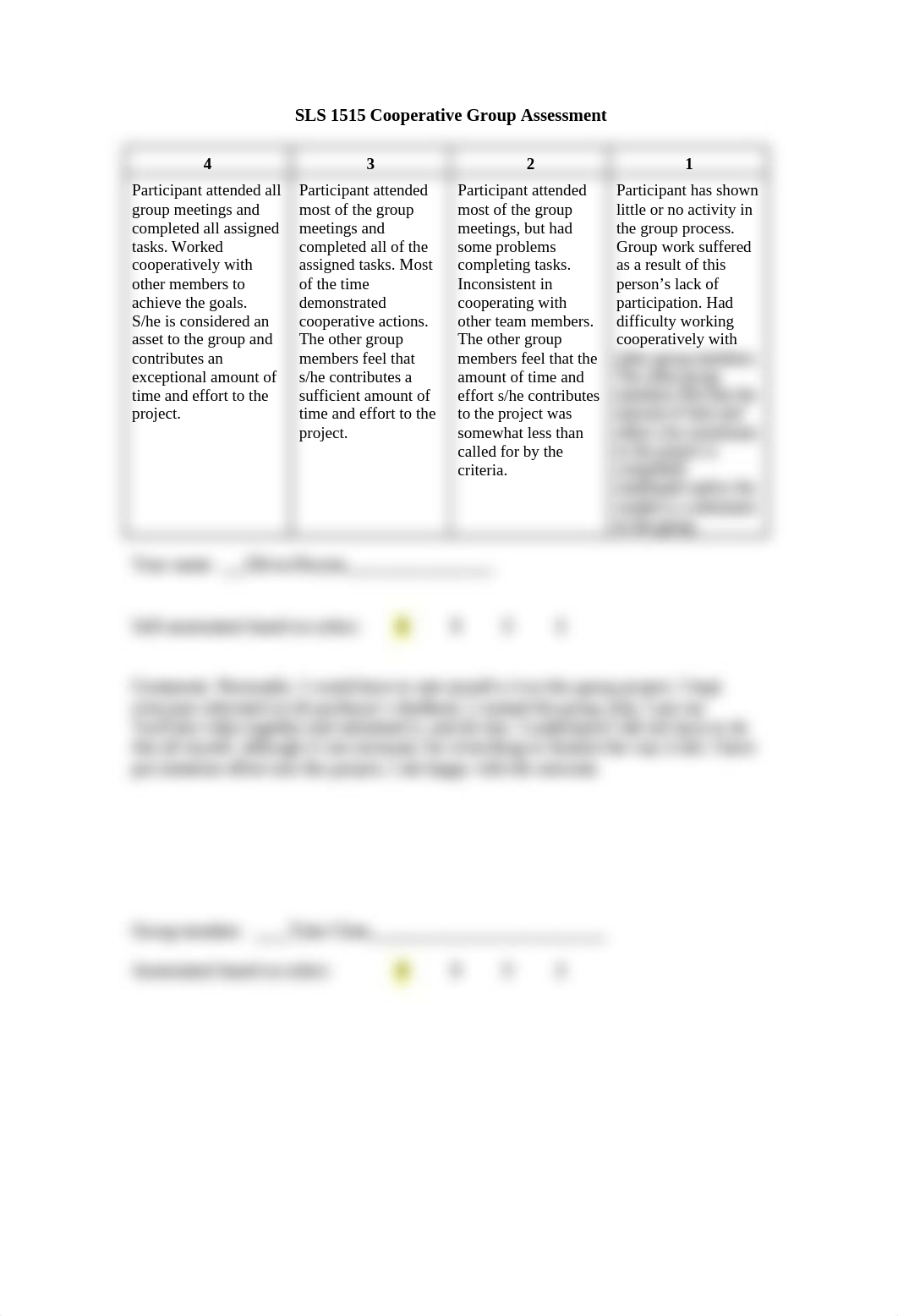 Peer Review Rubric.docx_dgzbyp8os22_page1