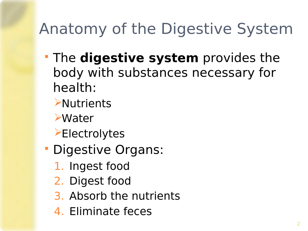 Digestive-38_dgzcw09r5ul_page2