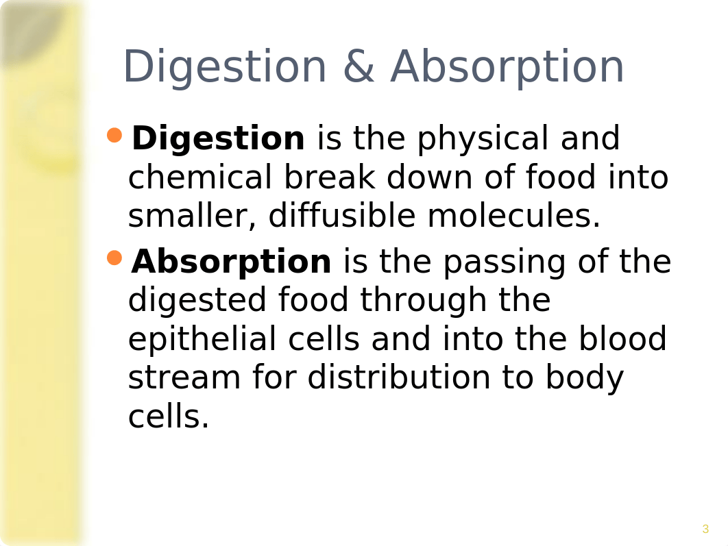 Digestive-38_dgzcw09r5ul_page3