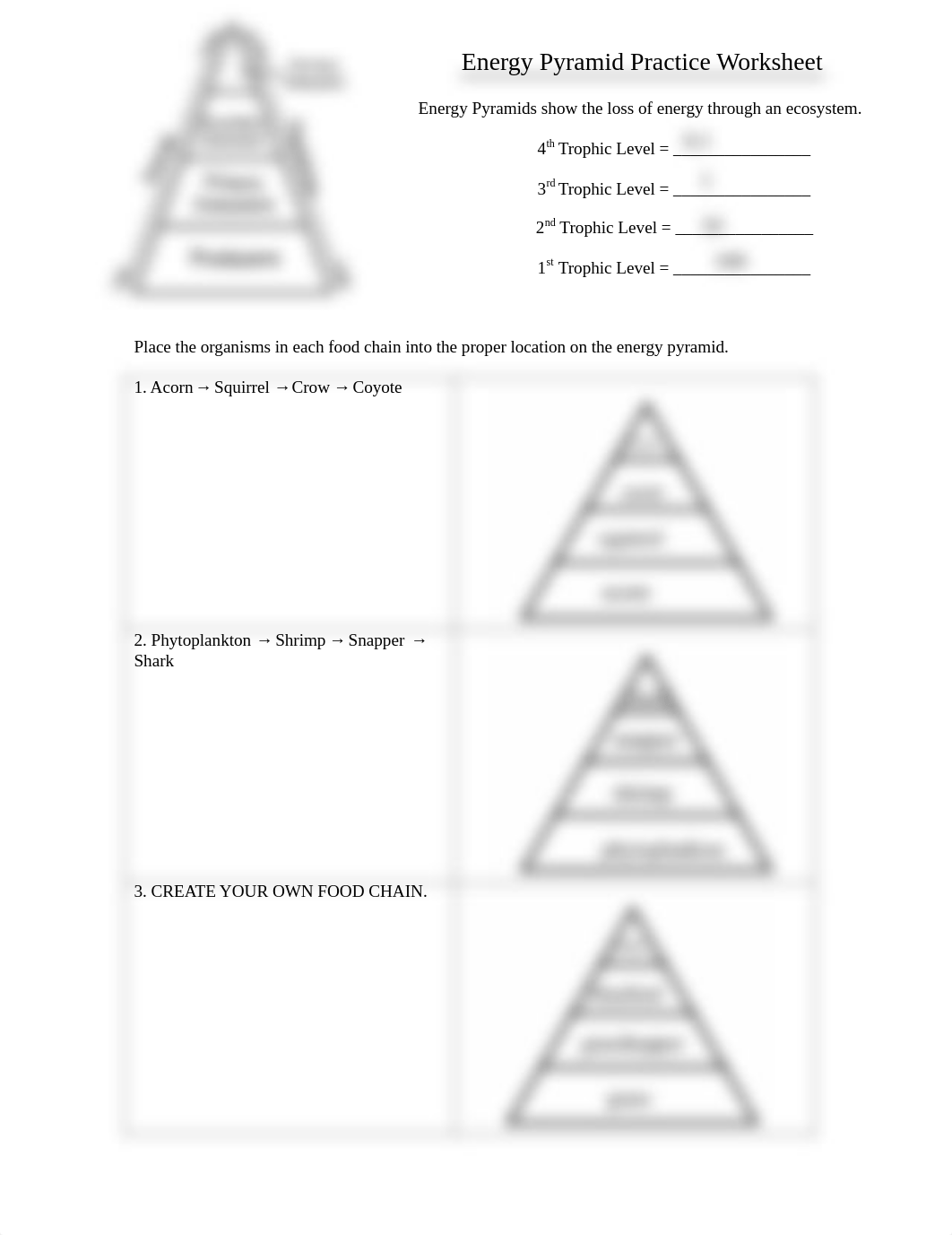 Elyse Clark - Energy-Pyramid-Practice-Worksheet-Student-Copy-oqqgqe.pdf_dgzetboii8w_page1