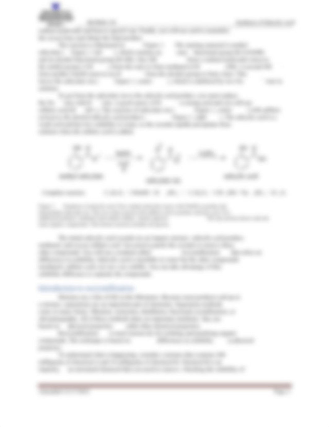 Lab Exercise- Synthesis of Salicylic Acid.pdf_dgzu0n7d4rc_page2