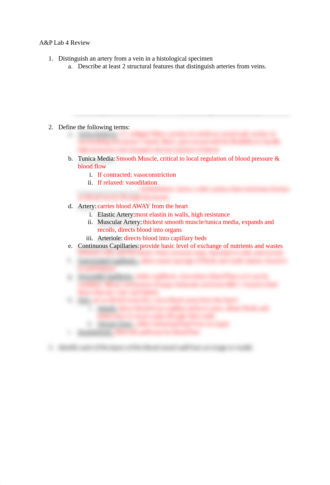 A&P Lab Quiz 4.docx_dh05e48uua9_page1