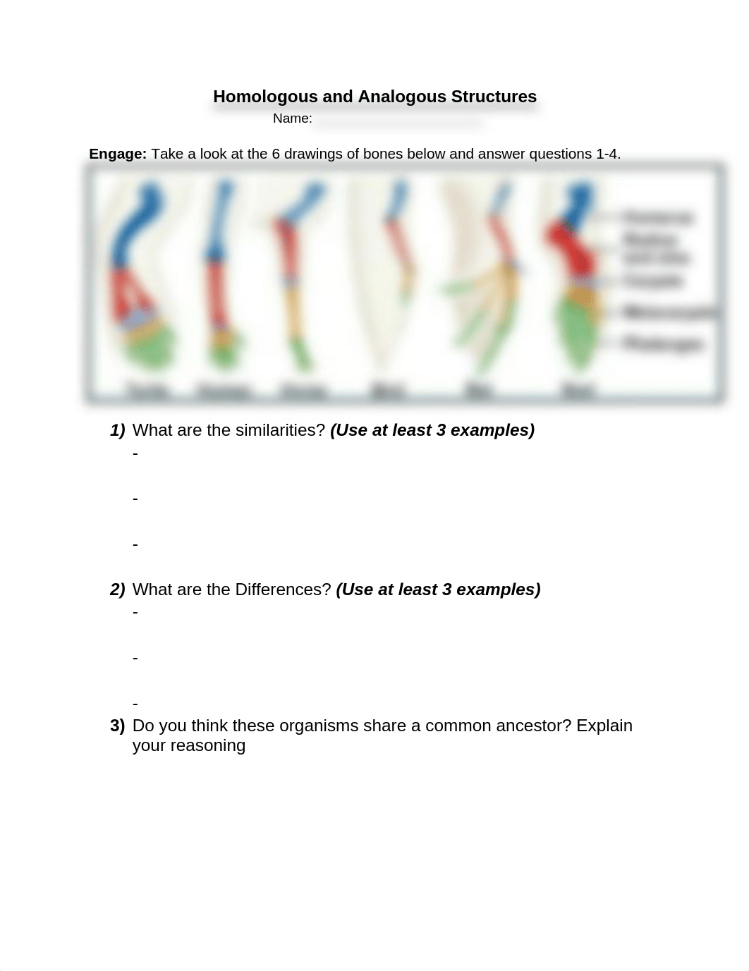 BIOL_410_Homologous_and_Analogous_Structures_Student_Handout.docx_dh08fkexcc9_page1