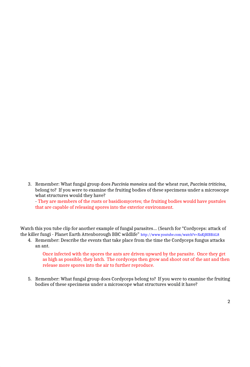 Fungi Survey Biology.docx_dh0fg3fnnd7_page2