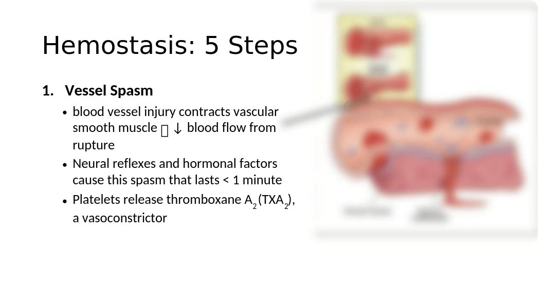 N310 Pathophysiology Disorders of Hemostasis and Red Blood Cells 1-12.pptx_dh0t51oikhx_page5