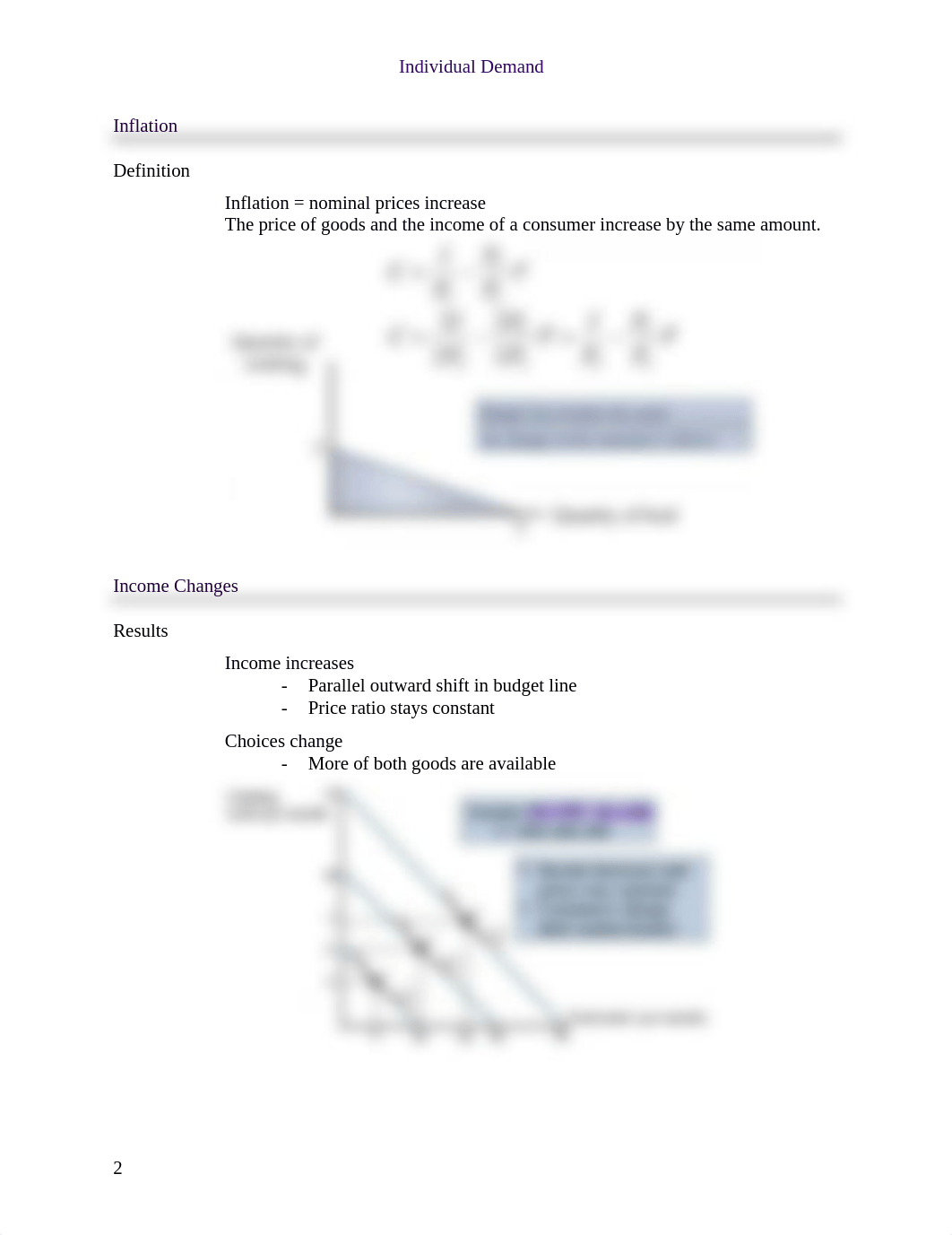 4 Individual and Market Demand.docx_dh0xakyibfl_page3