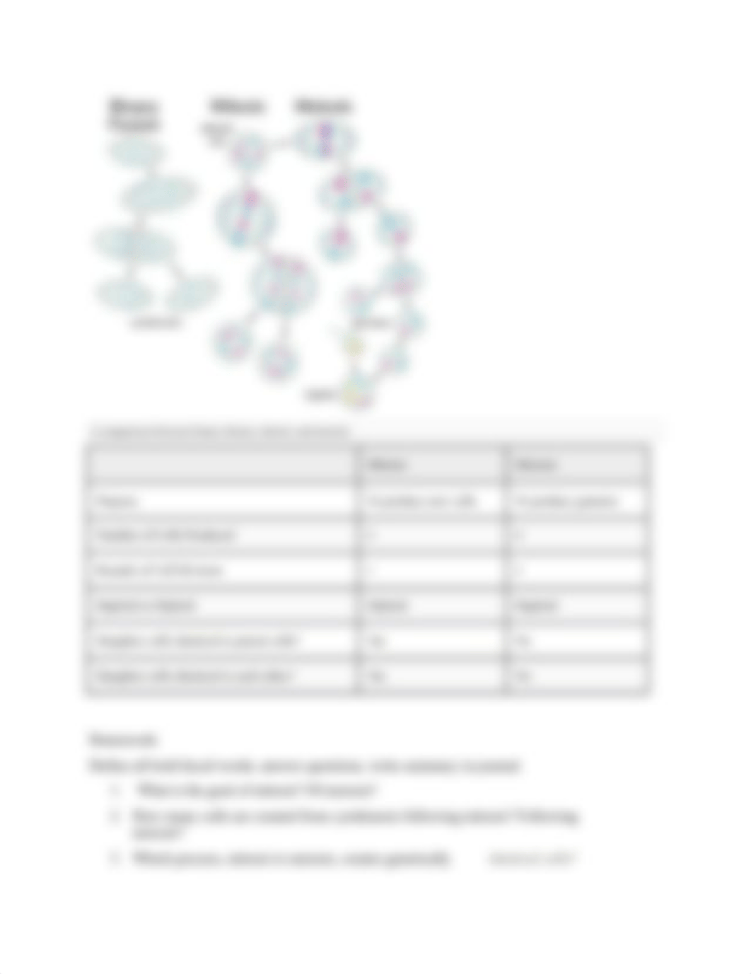 Mitosis vs meiosis reading.docx_dh19apuruh1_page2