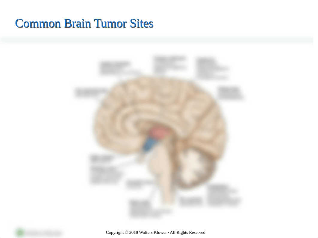 Chapter_70_Management_of_Patients_With_Oncologic_or_Degenerative_Neurologic_Disorders_-_stud.ppt_dh1axhg9egd_page4