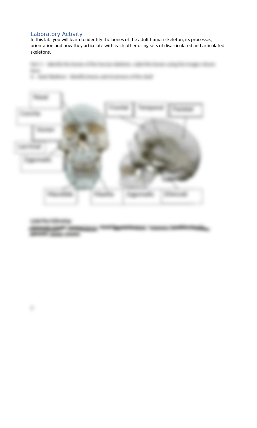 Bone Naming.docx_dh1cfbub6ag_page2