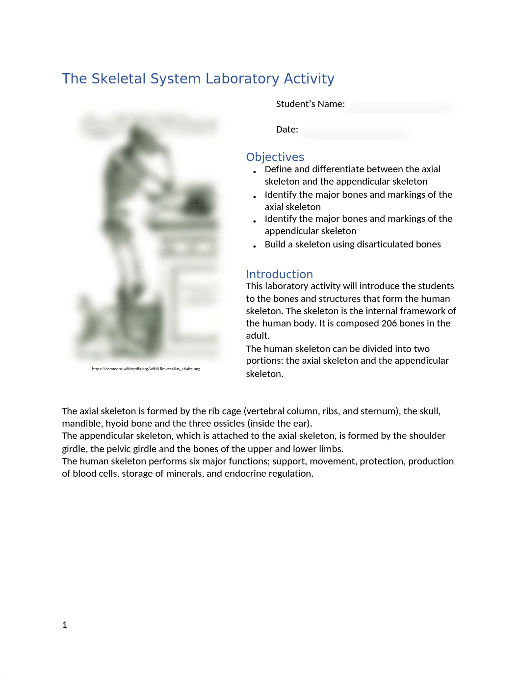 Bone Naming.docx_dh1cfbub6ag_page1