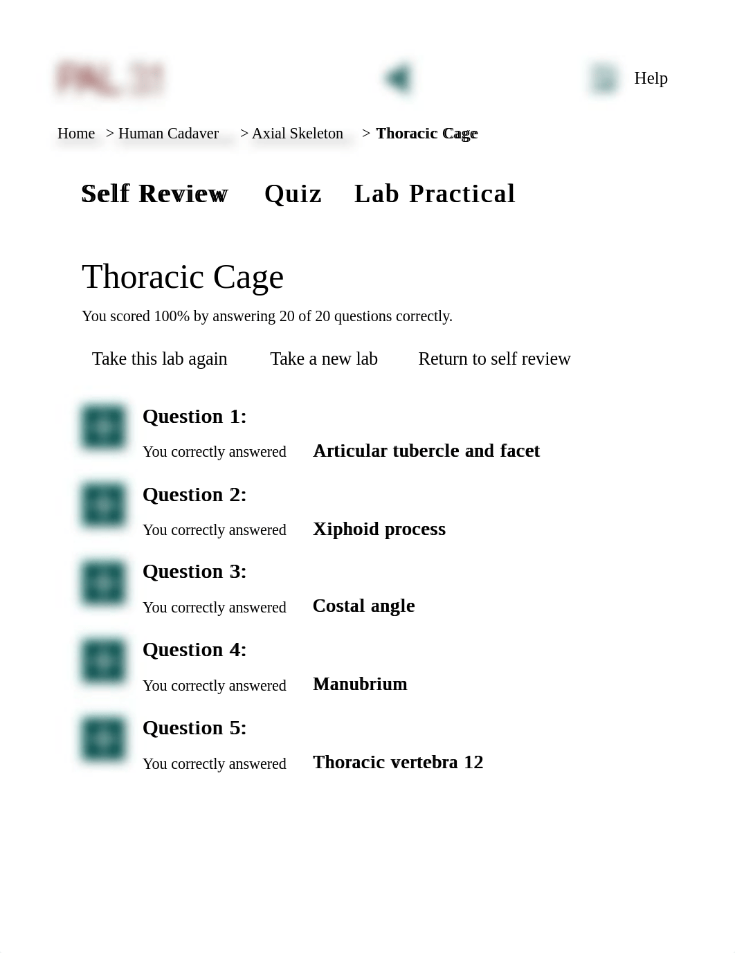 Practice Anatomy Lab 3.1 | PAL | Thor.pdf_dh1cyv7qvsw_page1