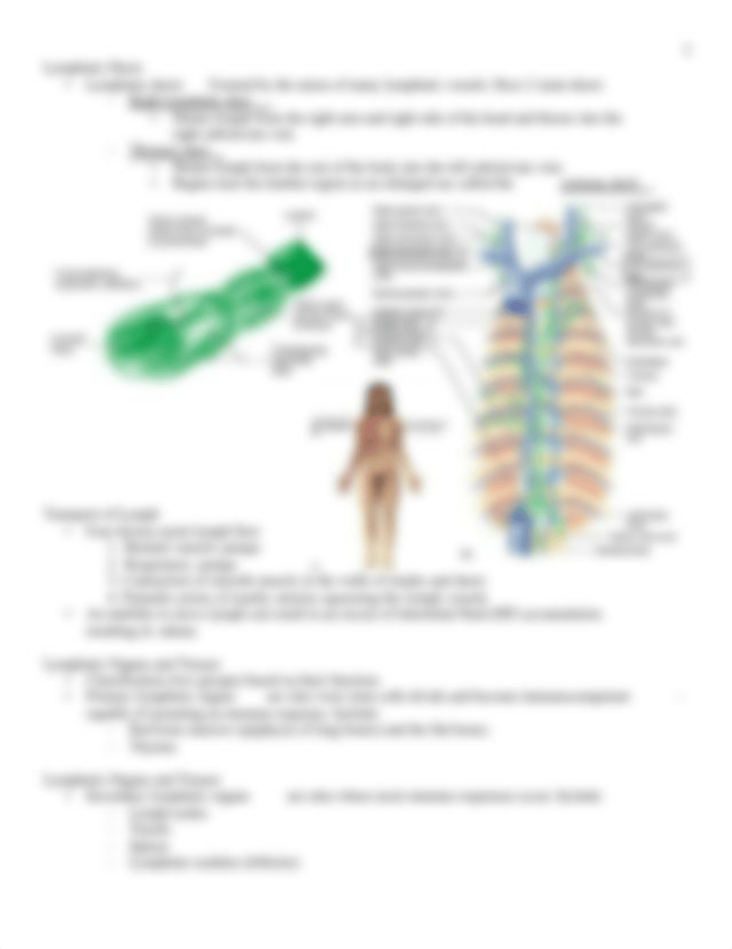 Chapter 17 The Lymphatic and Immune System with Vaccines.pdf_dh1isoyp2w3_page3