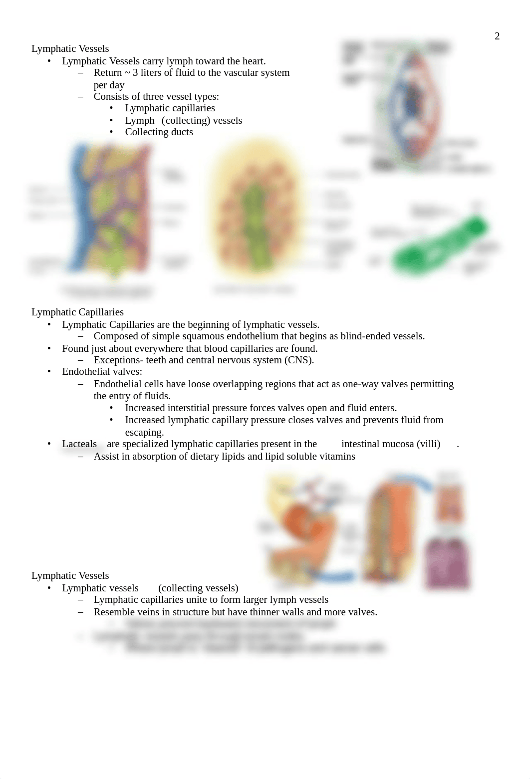 Chapter 17 The Lymphatic and Immune System with Vaccines.pdf_dh1isoyp2w3_page2