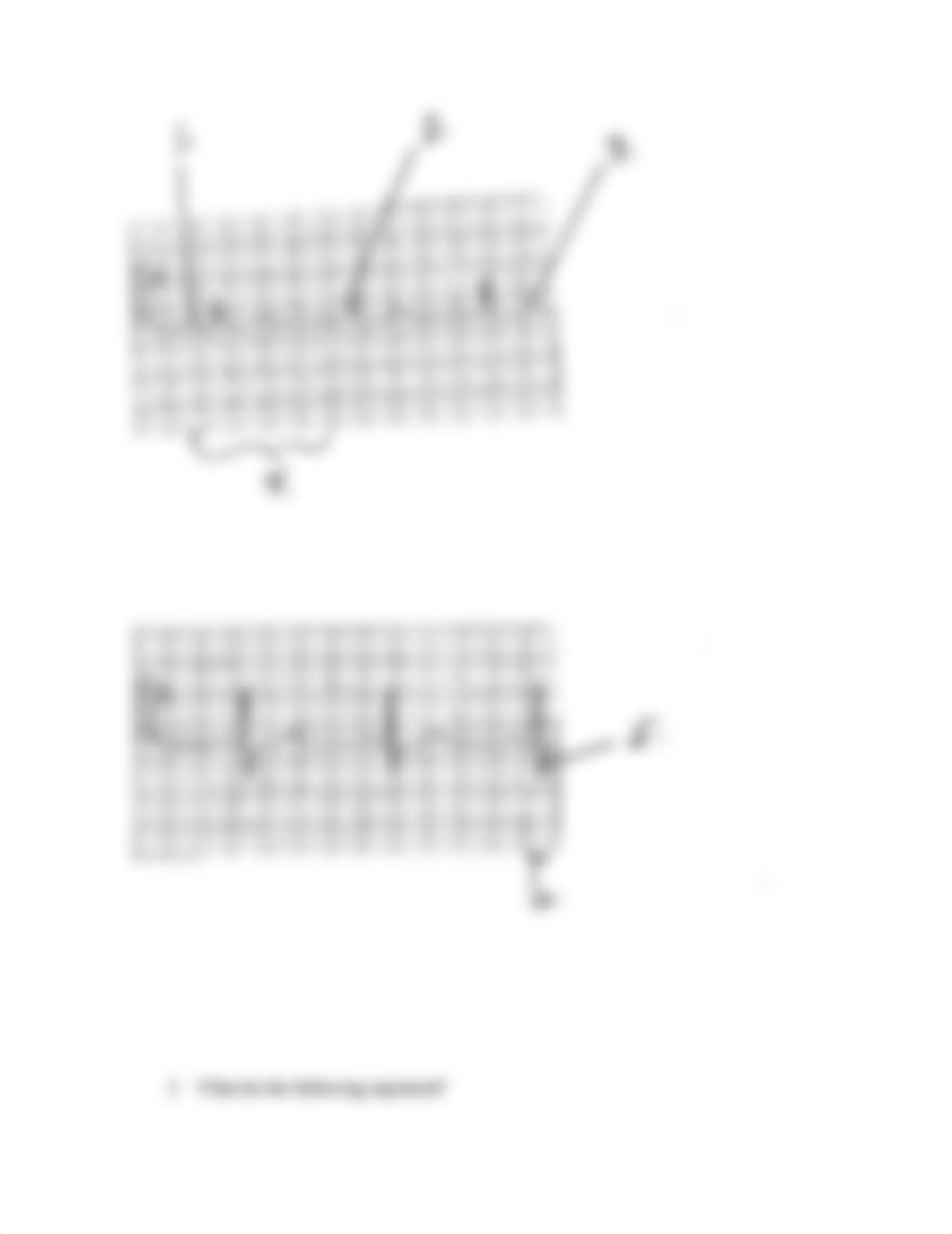 Heart Lab Computer and EKG.docx_dh1l6woco4i_page2