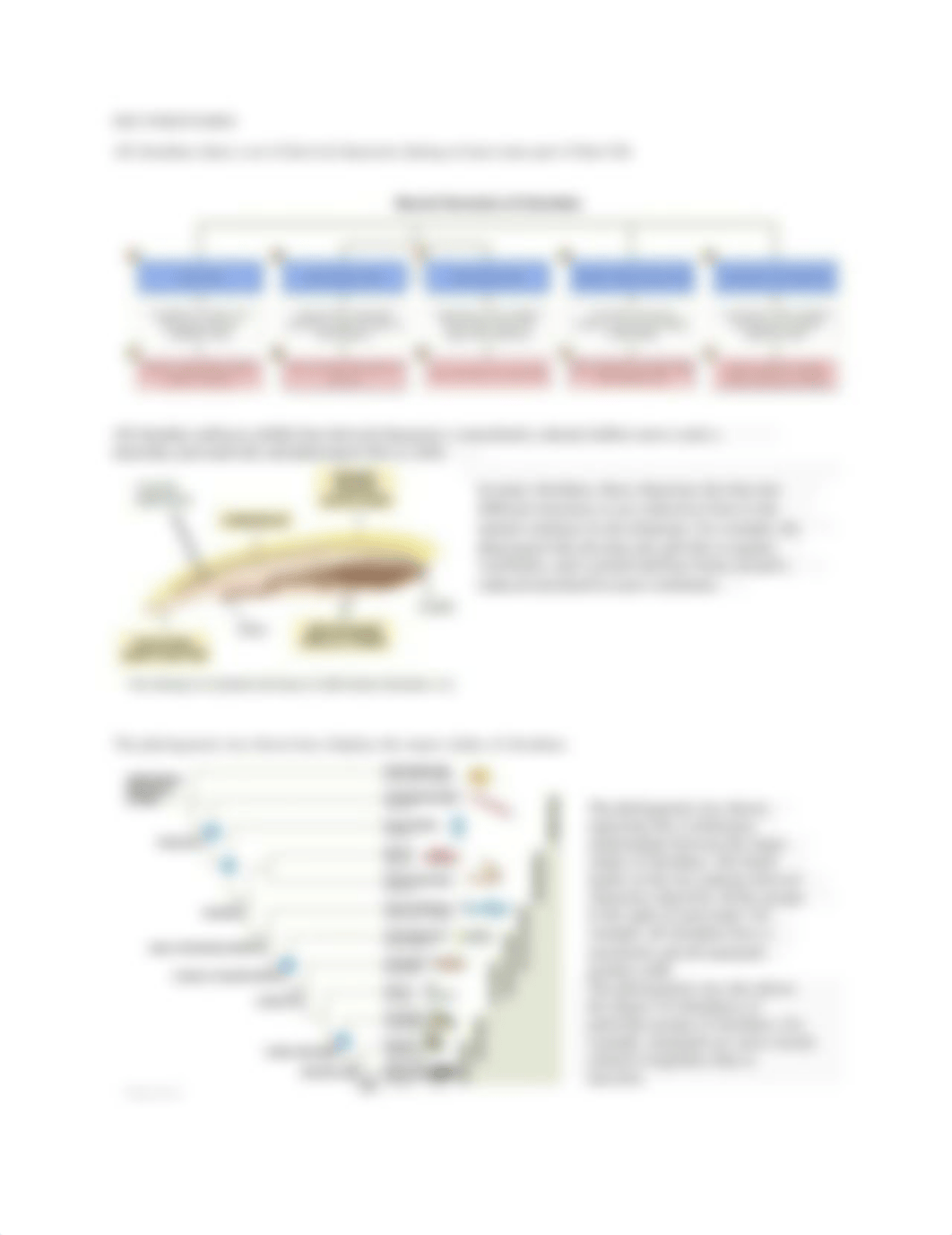 BioMastering Questions-Answers-Notes.docx_dh1vchk12tr_page4