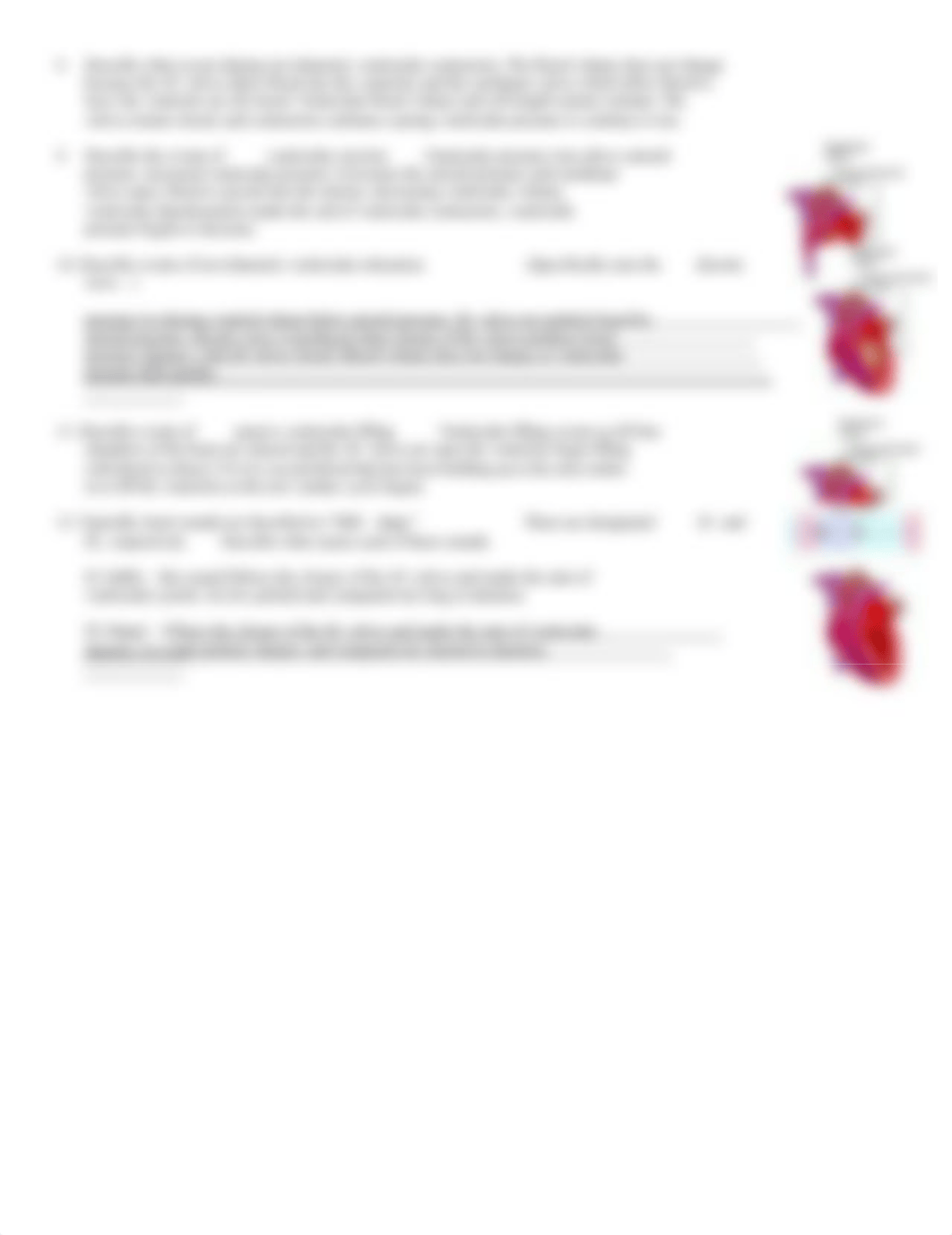 Cardiac cycle.doc_dh1yeeopy6y_page2