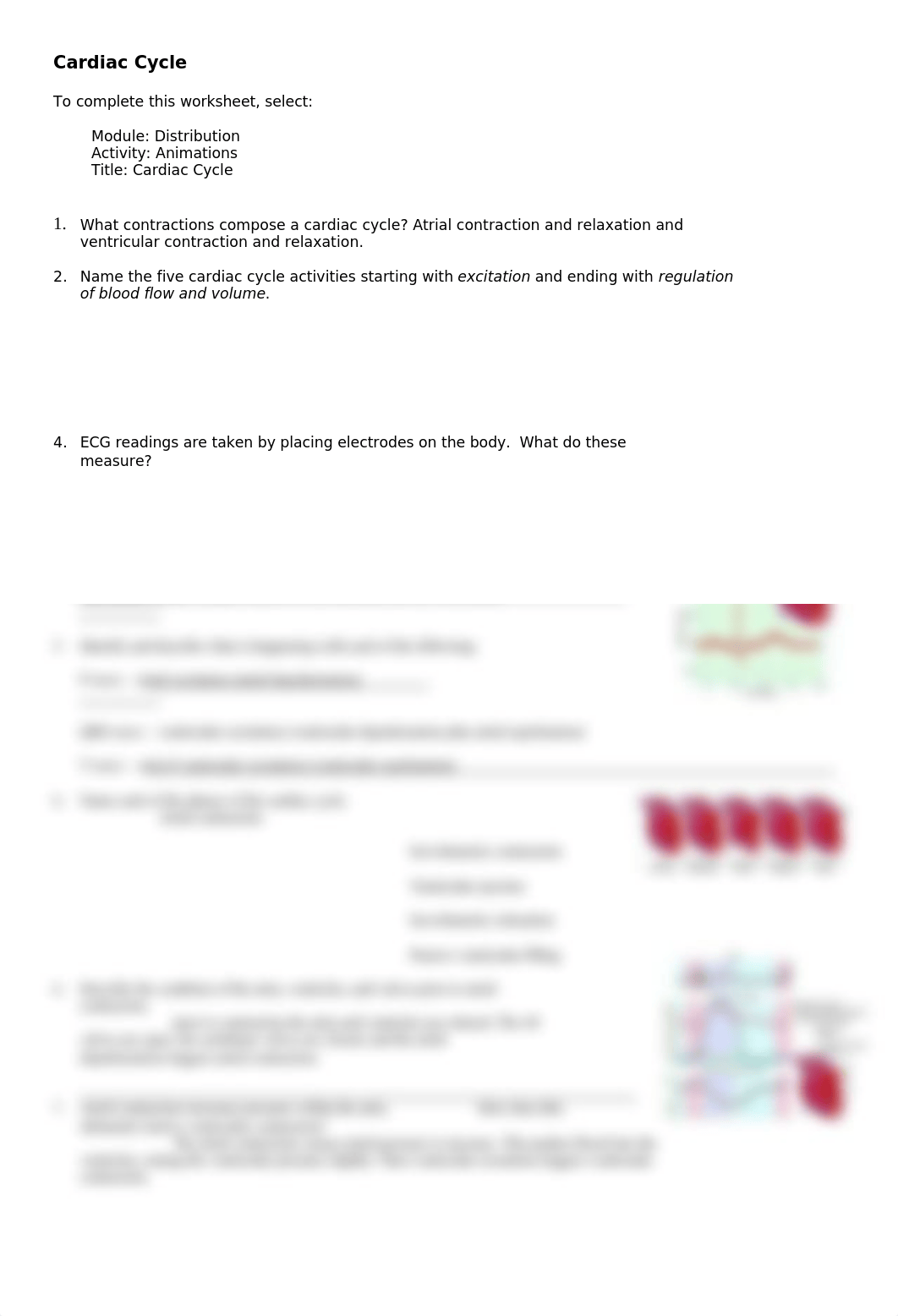 Cardiac cycle.doc_dh1yeeopy6y_page1