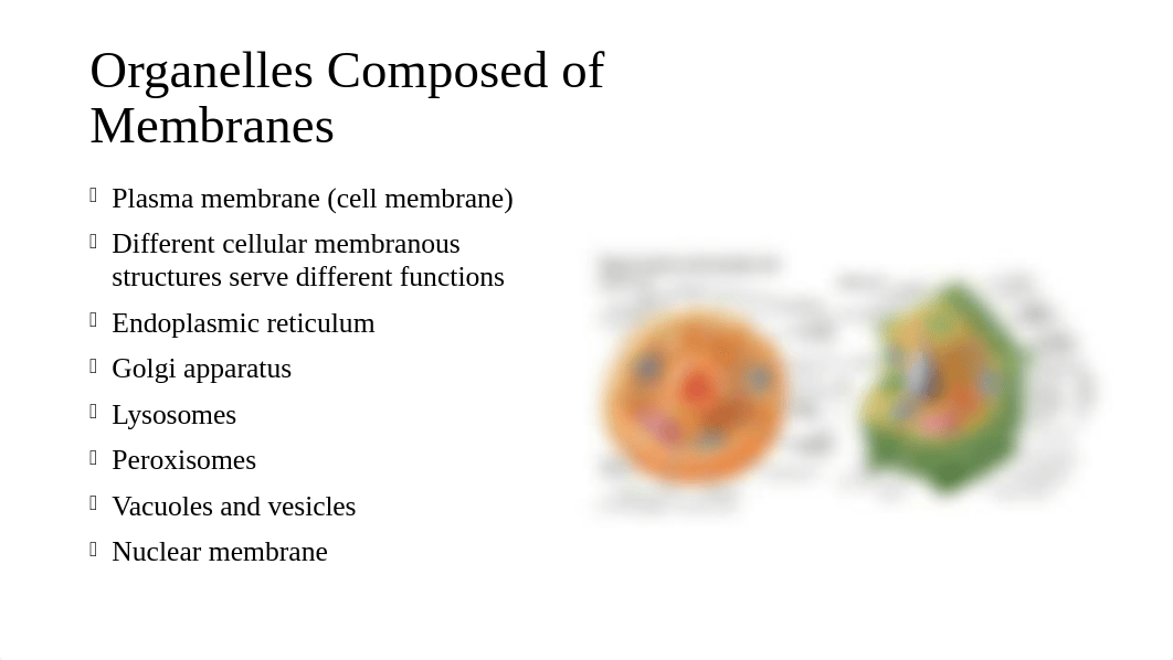 Chapter 3 Cells and Tissues.pptx_dh21j09xxgx_page5